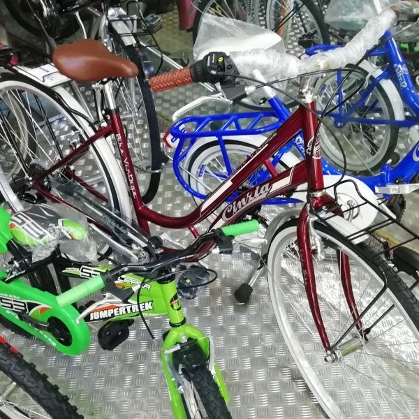 Biciclette Firenze