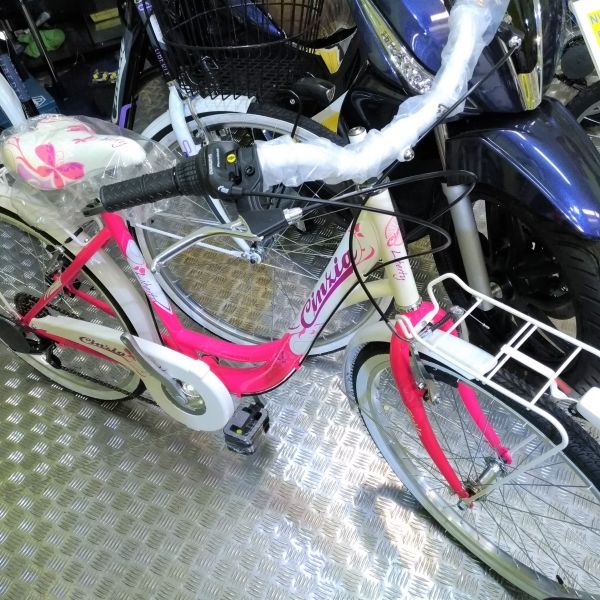 Bicicletta bambina 24 con cambio